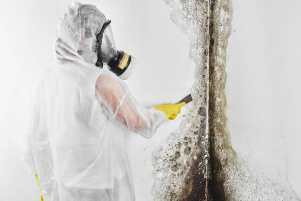 Best Residential Mold Removal  in Deschutes River Woods, OR
