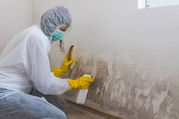 Best Certified Mold Removal  in Deschutes River Woods, OR