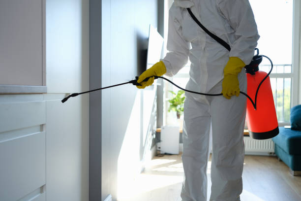Professional Mold Removal in Deschutes River Woods, OR